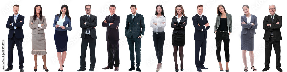 group of successful business people isolated on white group of successful business people isolated on white