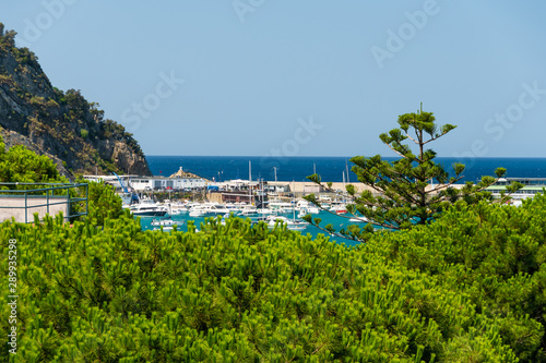 View of the bay where the yachts are moored. In the foreground are the green tops of conifers. Idyllic sea view of the Mediterranean Sea Italy.