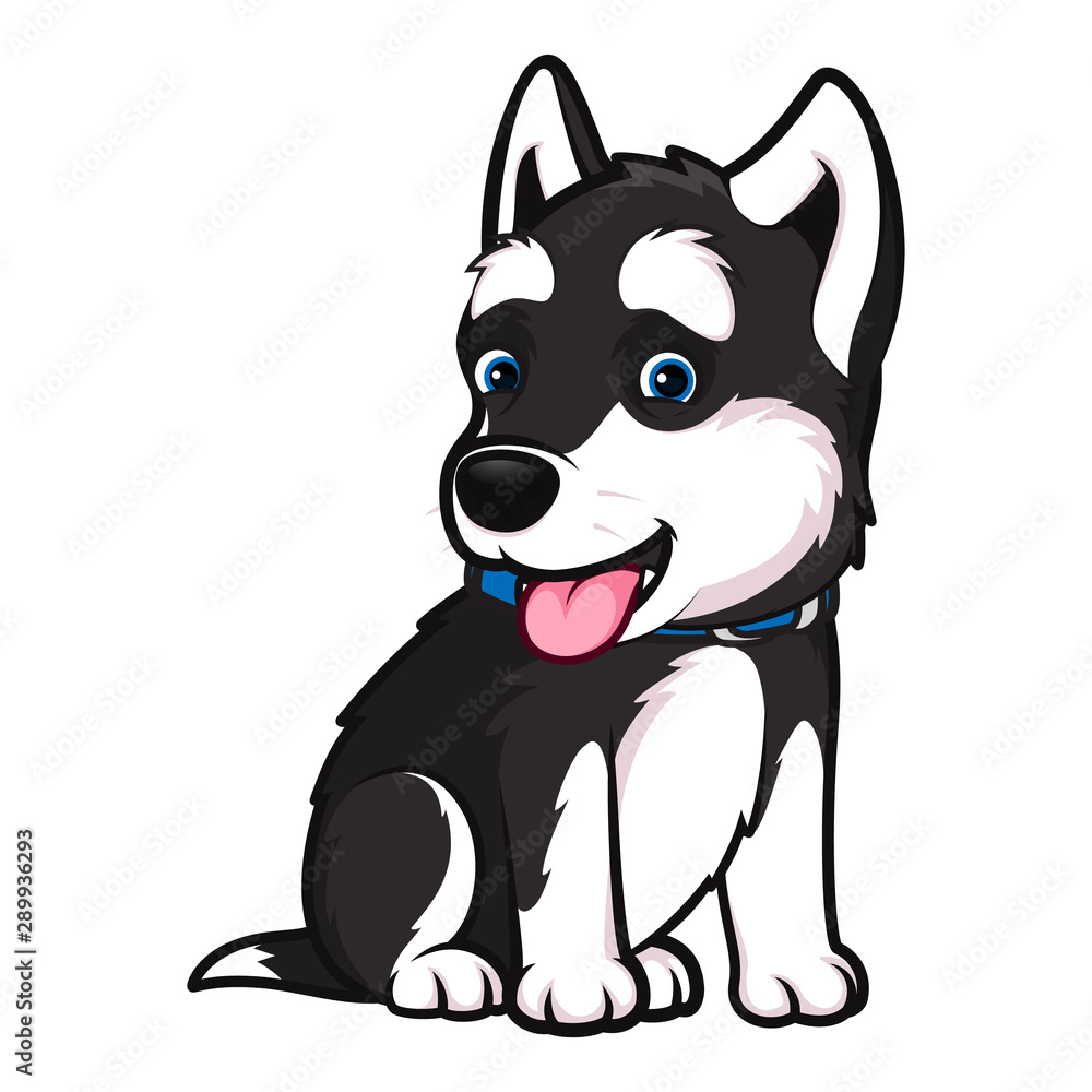 Husky breed dog in a sitting pose