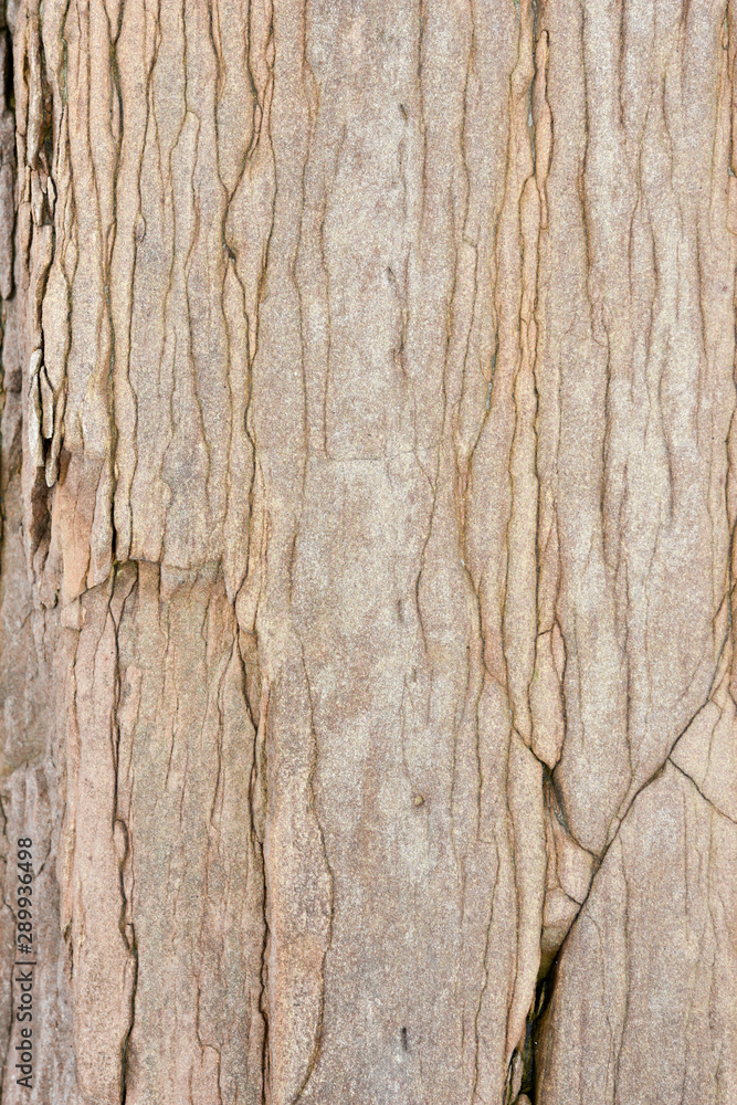 Obraz premium Wild Stone surface