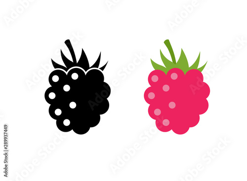 Fotótapéta Raspberry vector icon illustration