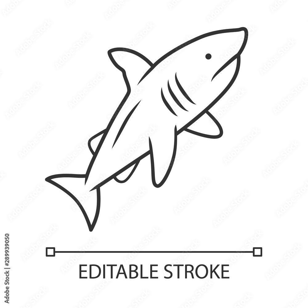 Fototapeta premium Shark linear icon. Dangerous ocean predator. Swimming fish. Underwater animal, ocean wildlife. Marine fauna. Thin line illustration. Contour symbol. Vector isolated outline drawing. Editable stroke