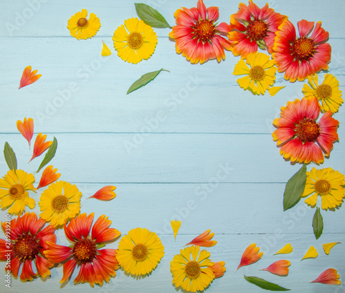 yellow and orange flowers blue wood background texture tree