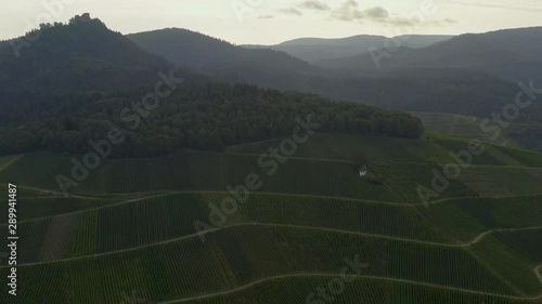 Aerial view around the Yburg Castle in Germany.  Early on a sunny morning in summer. Ascend and zoom in beside the castle. photo