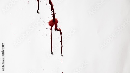 Cleaning blood splash on white background. halloween concept
