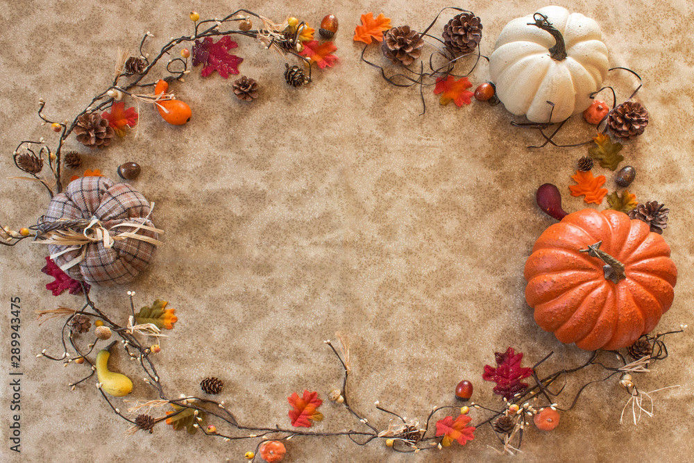 White Fall Background White Fall Background