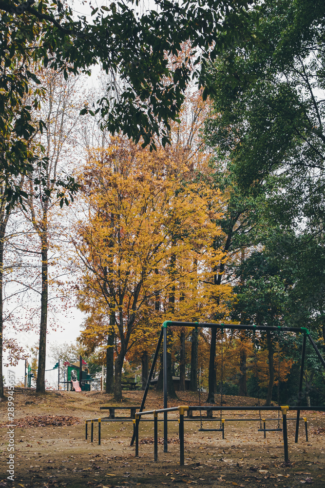Naklejka premium Autumn leaves seen through the swing