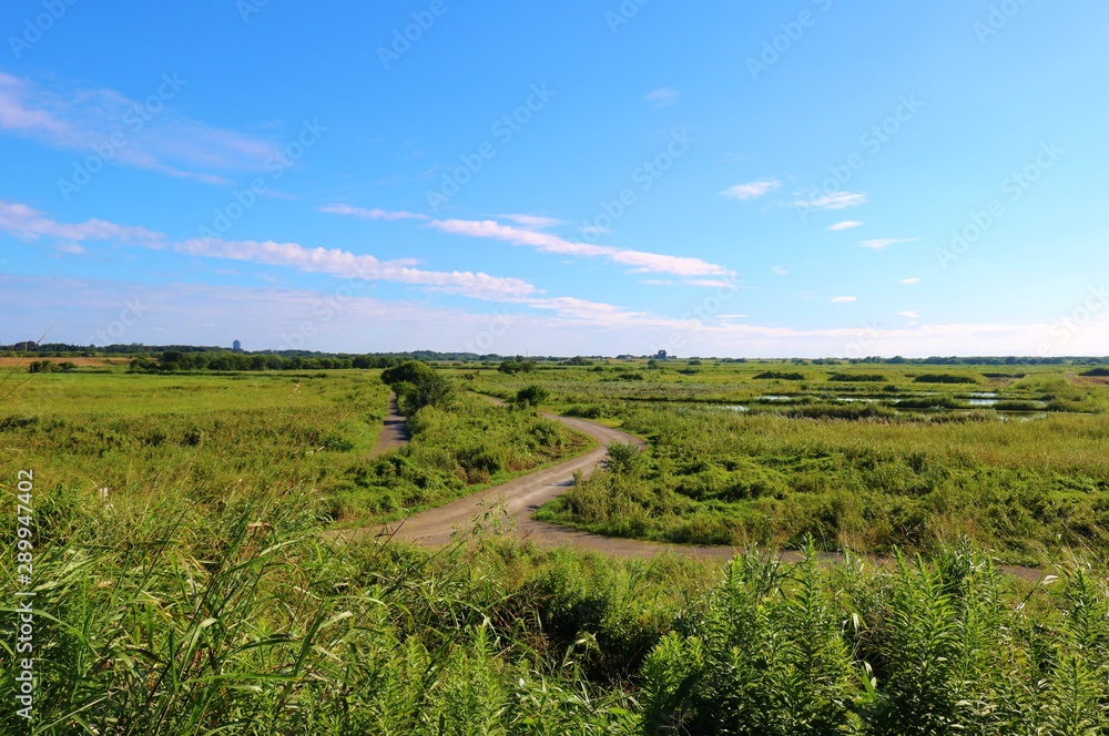 Fototapeta premium 晩夏 道 渡良瀬 風景 空 杤木