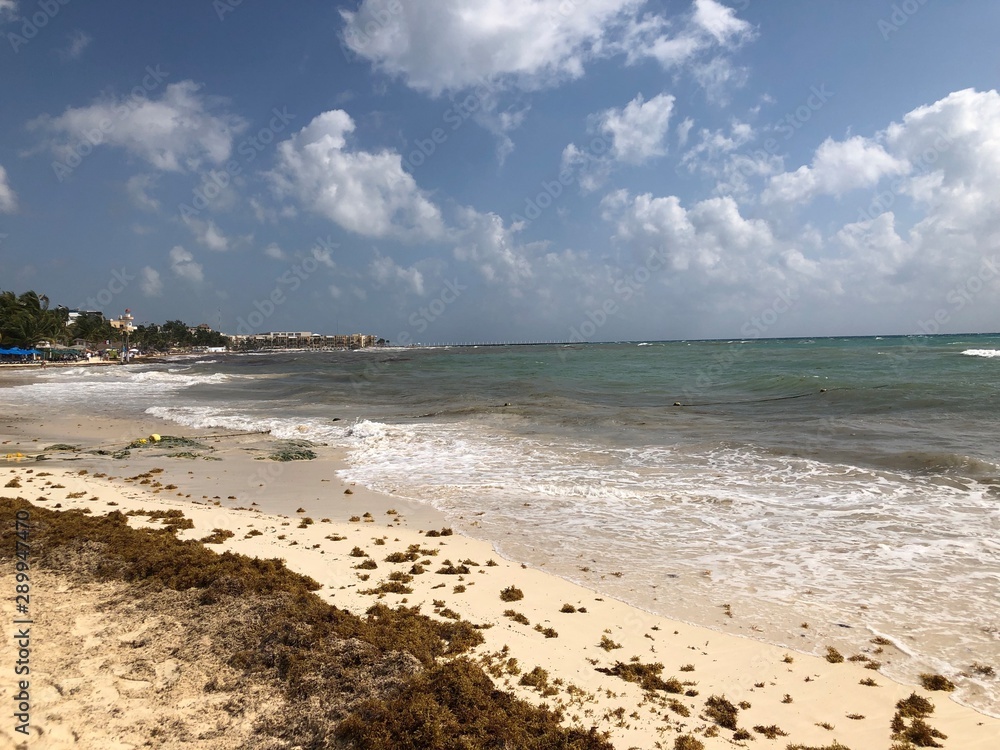 Obraz premium St. Joseph's Shores