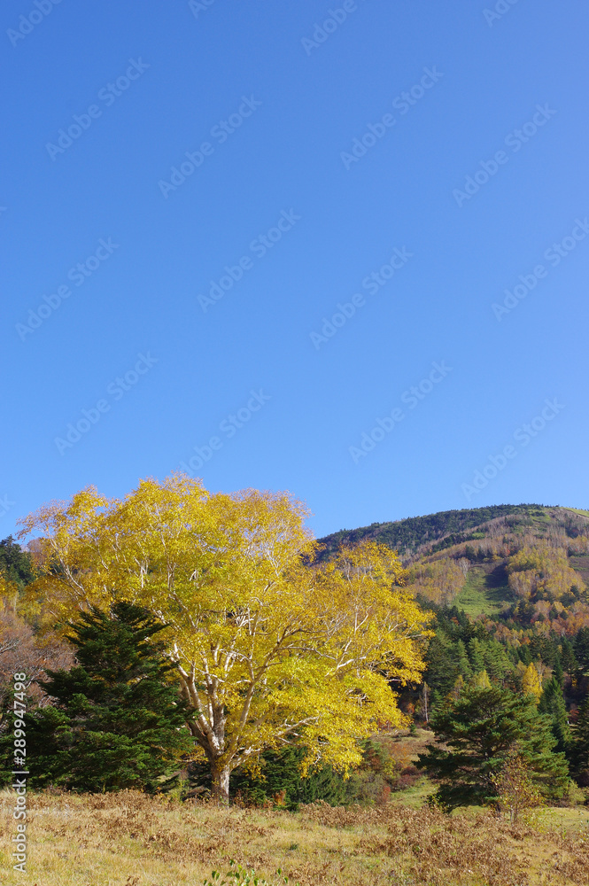 秋の山田牧場