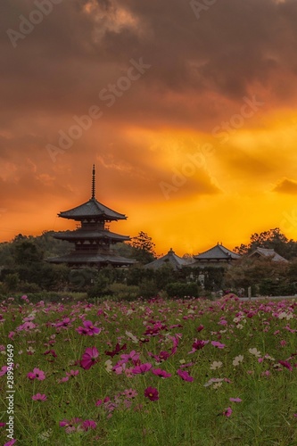 temple in sunset