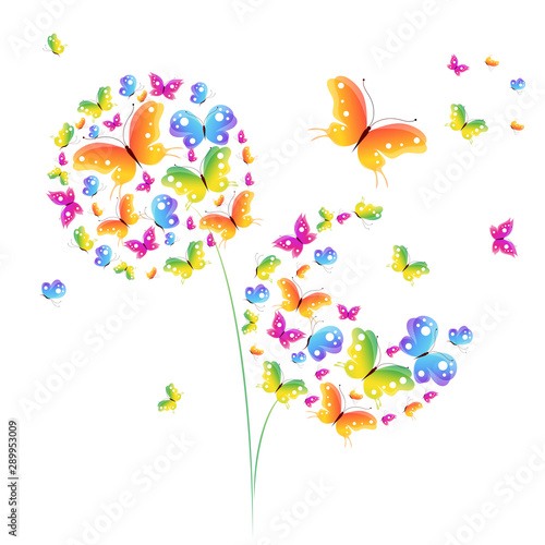 butterfly281