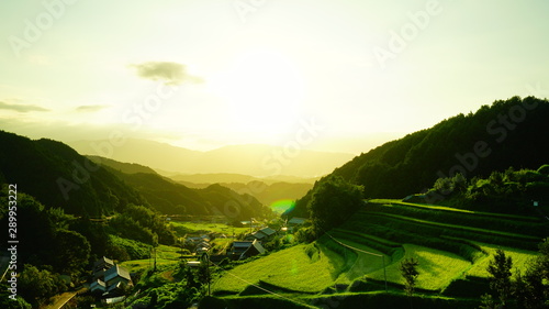 奈良県明日香村 稲渕の棚田