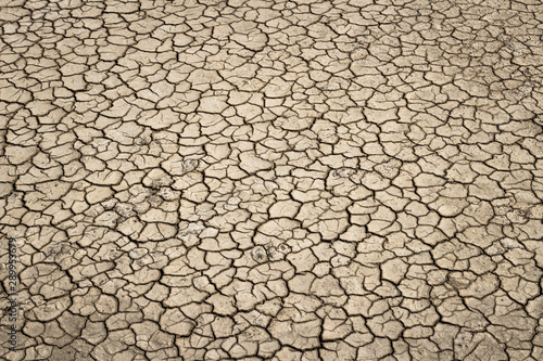 Drought concept: Cracked soil background