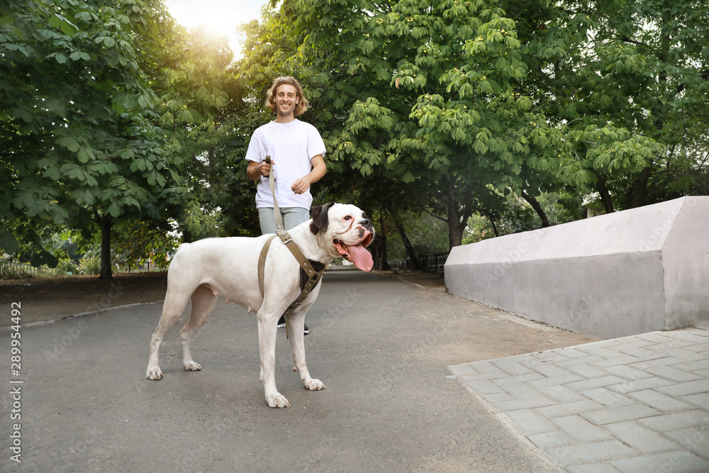 Fototapeta premium Young man with cute dog walking in park