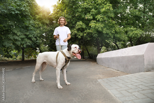 Photography Young man with cute dog walking in park