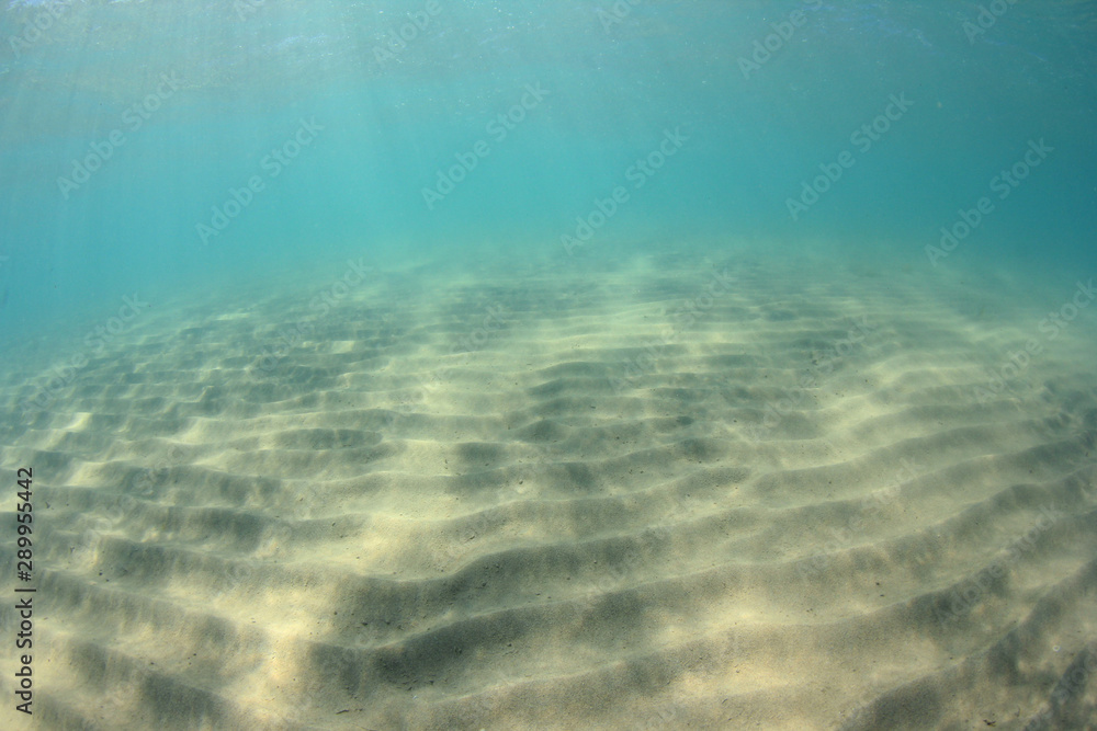 Fototapeta premium Sandy sea floor and underwater blue background