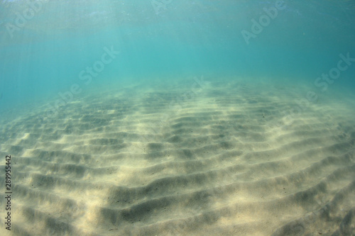 Sandy sea floor and underwater blue background © Richard Carey