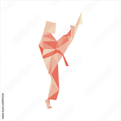 pink taekwondo isolated on white background