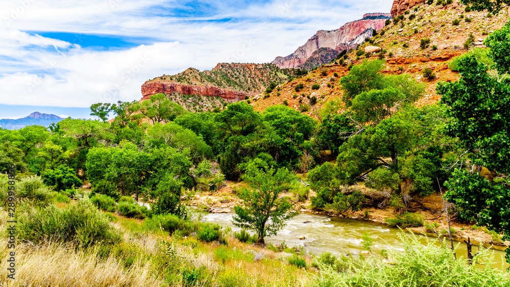 The Massive Red, Pink and Cream Sandstone Cliffs viewed from the Pa'rus Trail as it follows along and over the meandering Virgin River in Zion National Park in Utah, USA