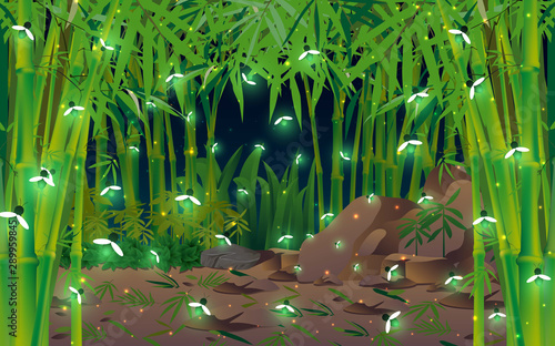 firefly at the bamboo forest in the night