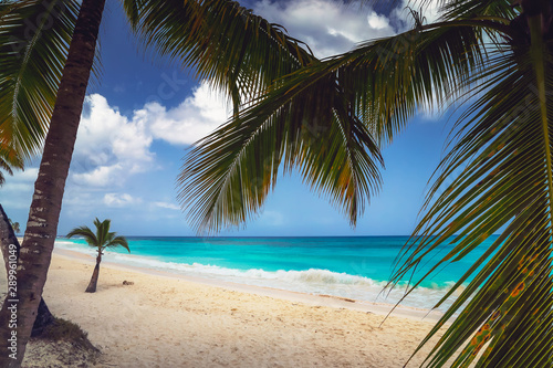 Fototapeta Naklejka Na Ścianę i Meble -  Landscape of paradise tropical island beach.