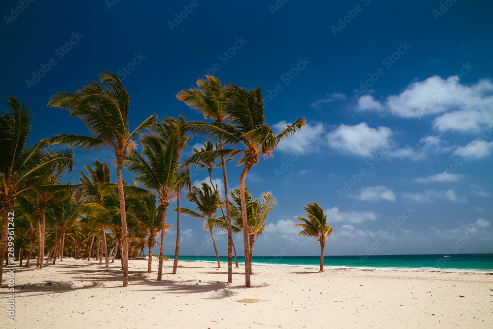 Landscape of paradise tropical beach . Landscape of paradise tropical beach .