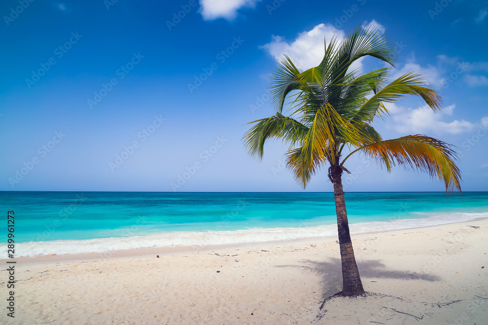 Fototapeta premium Paradise beach.