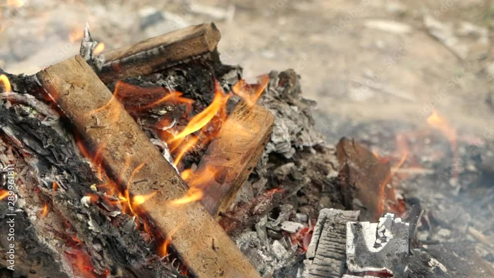 Bonfire burning trees in slow motion, close-up Bonfire burning trees in slow motion, close-up