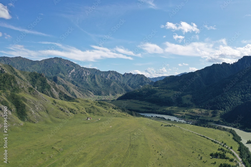 nature in the mountains of the Altai Republic, summer month of August