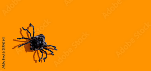 Halloween black spider - overhead view flat lay