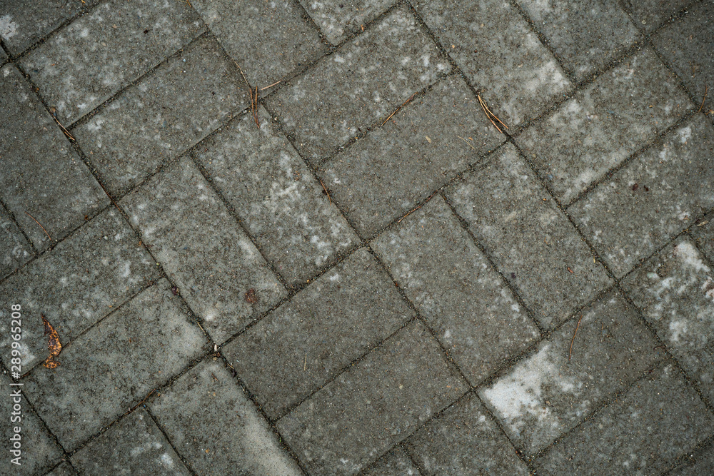 Texture of paving slabs overgrown with grass. Background image of a stratum stone Texture of paving slabs overgrown with grass. Background image of a stratum stone