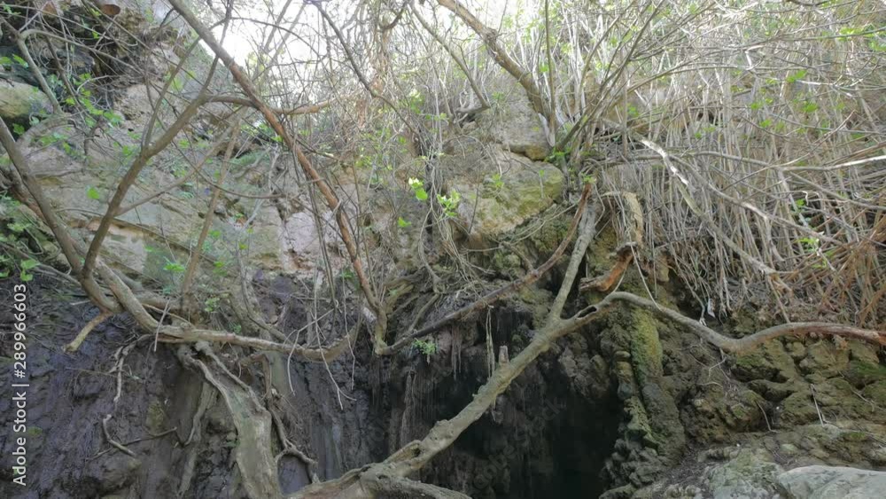 baths of Aphrodite in Cyprus, natural landmark in daytime