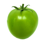 green isolated tomato unripe for background