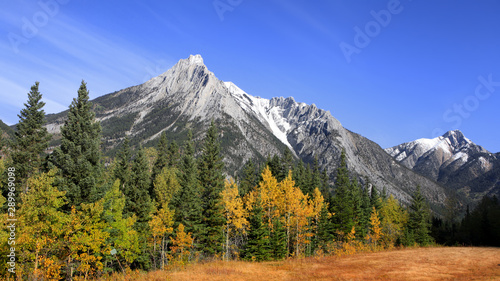 Scenic autumn landscape in Banff national park