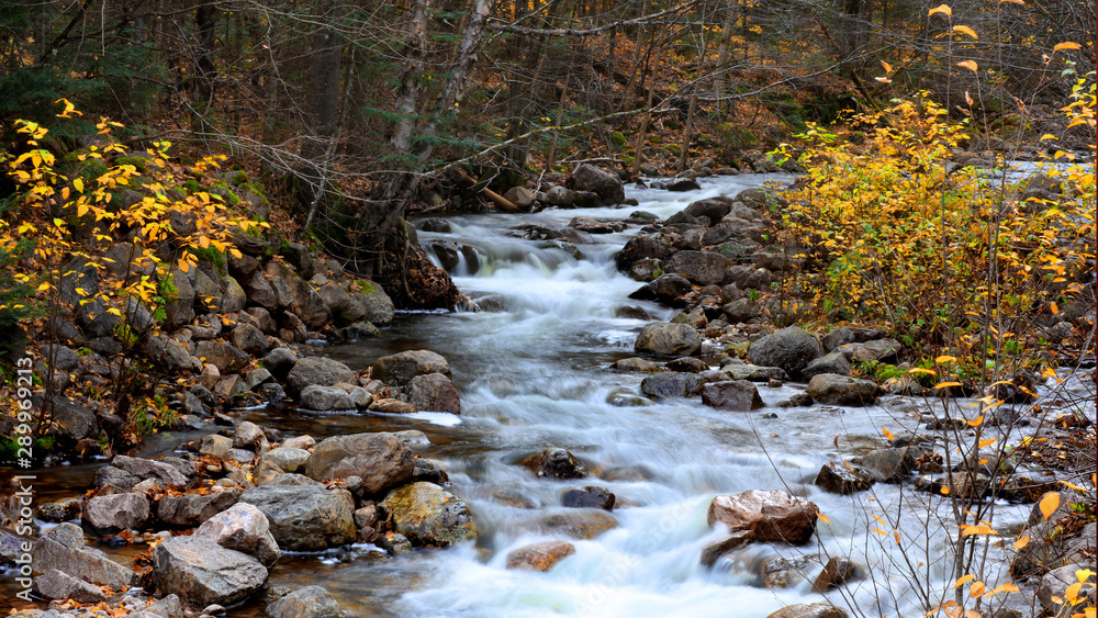 Water falls in rural Quebec near Mount-Tremblant in autumn time Water falls in rural Quebec near Mount-Tremblant in autumn time