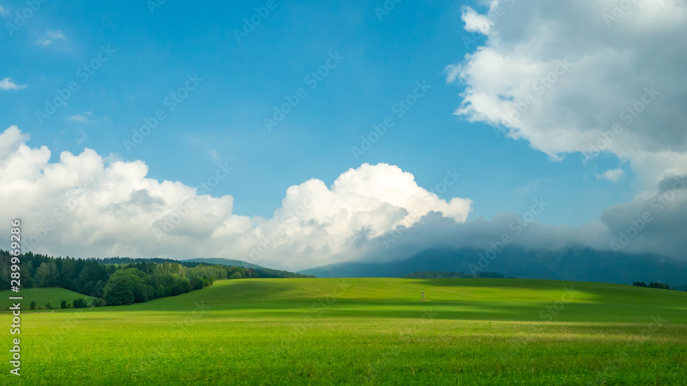 Fototapeta premium Green field and bright sun.