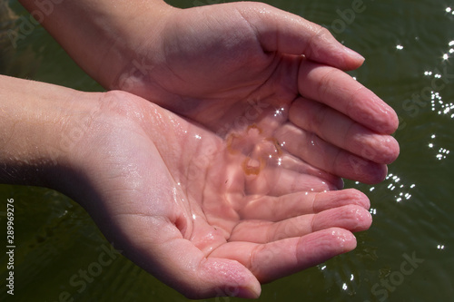 A small transparent jellyfish with brown pattern in the ladle of children's hands on the background of azure sea water with sunlight glows on the ripples. Rescue animal, who swam to the shallow shore