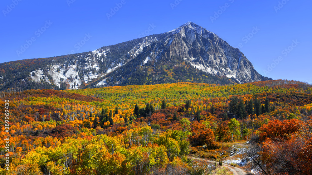 Scenic landscape along Kebler pass in Colorado Scenic landscape along Kebler pass in Colorado