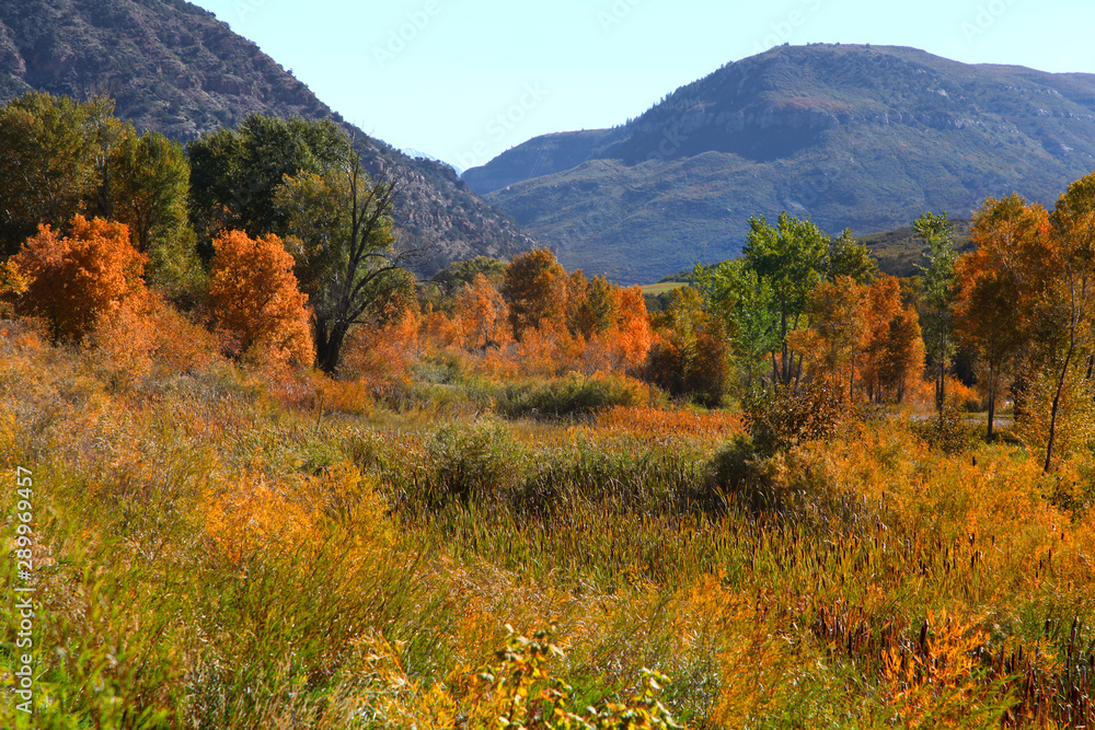 Beautiful autumn landscape in rural Colorado