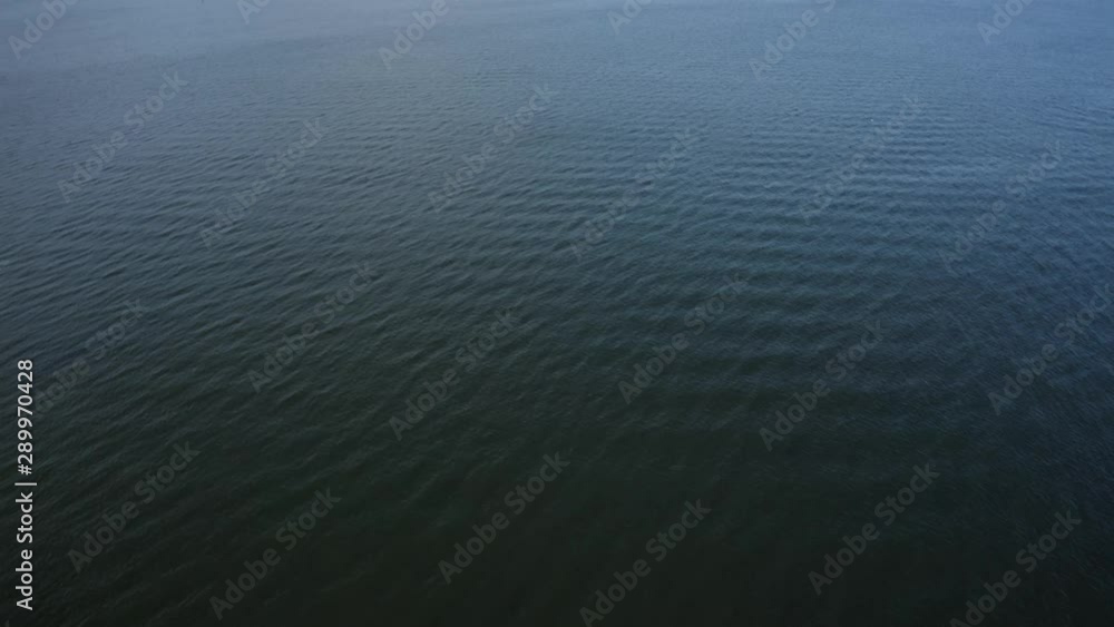 Calm ocean waves and a lone seagull, during Summer | Scotland | 4k at 30 fps Calm ocean waves and a lone seagull, during Summer | Scotland | 4k at 30 fps