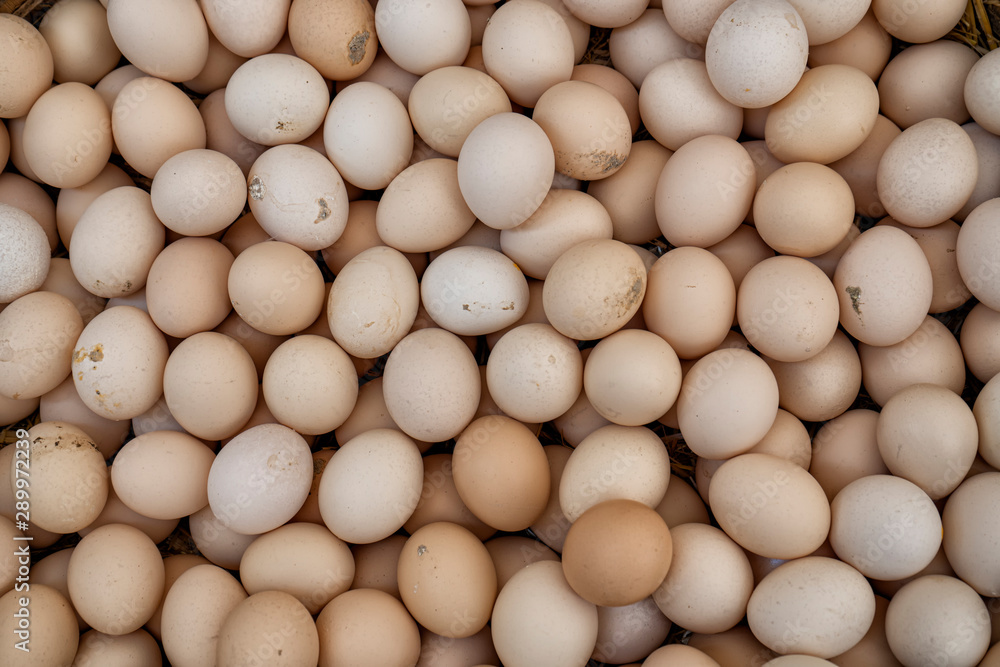 Organic eggs for sale in the market Organic eggs for sale in the market