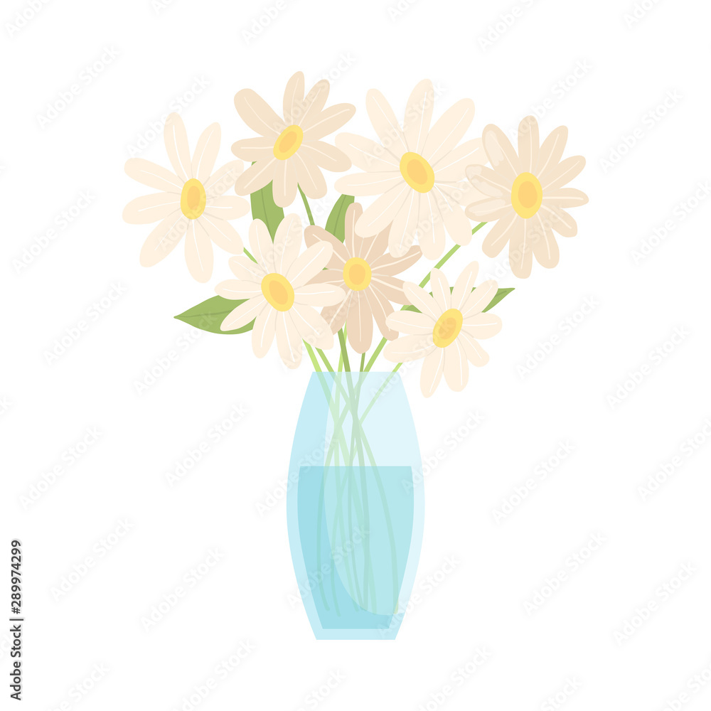Beautiful Chamomile Flowers in Glass Vase, Bouquet of Blooming Flowers for Interior Decoration Vector Illustration