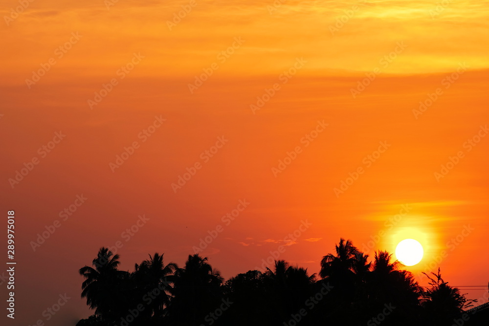 Beautiful silhouette tropical coconut trees during sunset or sunrise with orange sunlight sky background.