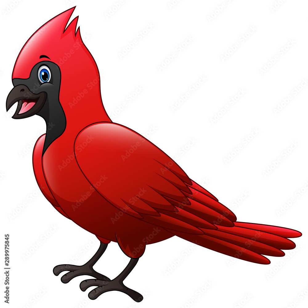 4,516 Cardinal Cartoon Images, Stock Photos, 3D objects, & Vectors