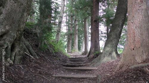 奈良井宿 旧中山道の杉並木