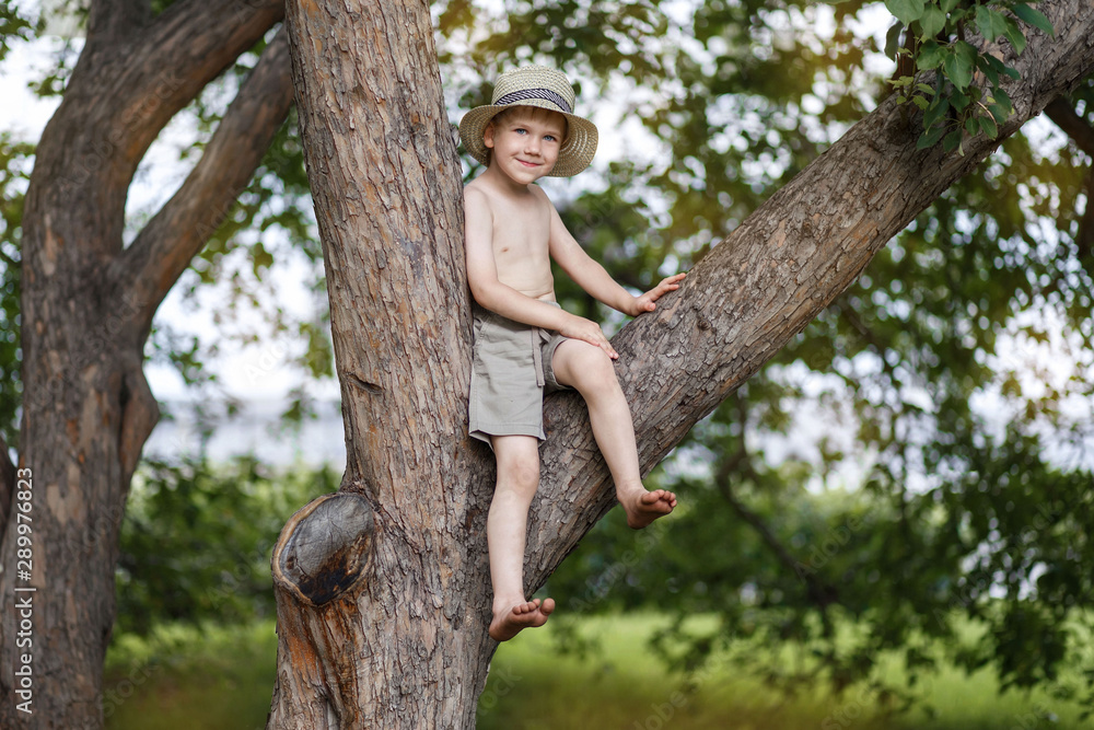 Portrait of a beautiful little boy in a hat and shorts, sitting on a tree in a Park on a warm summer day Portrait of a beautiful little boy in a hat and shorts, sitting on a tree in a Park on a warm summer day