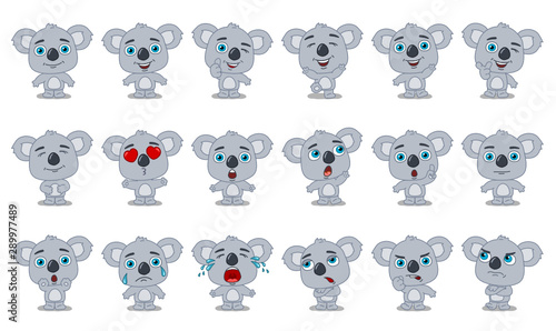 Big set of funny koala bear in cartoon style in different standing poses and emotions isolated on white background