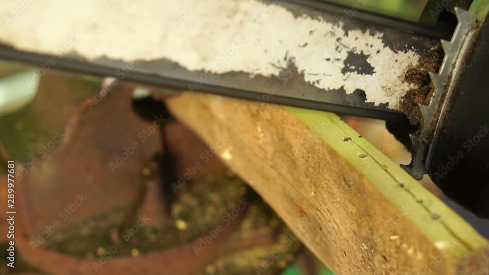 Chainsaw in move cutting wood. Dust and movements. Slow motion, close-up Chainsaw in move cutting wood. Dust and movements. Slow motion, close-up