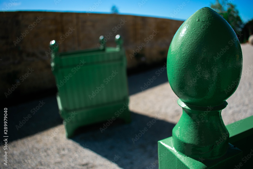 Bright green acorn from a very large garden planter Bright green acorn from a very large garden planter